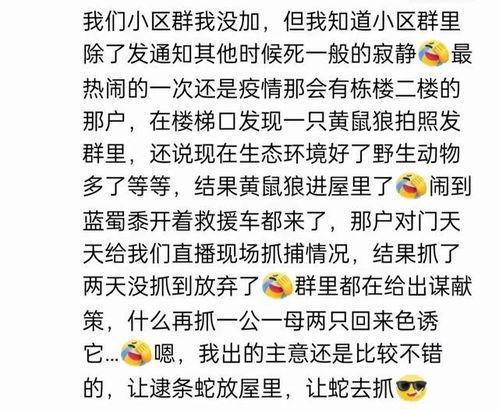 娱乐吃瓜群名叫什么名字,揭秘“娱乐吃瓜群”背后的热点风云