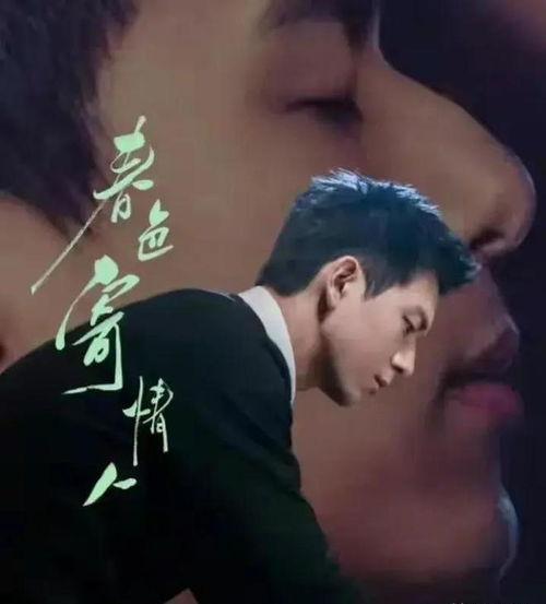 娱乐吃瓜 汪小菲小说