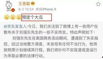 娱乐圈吃瓜论文