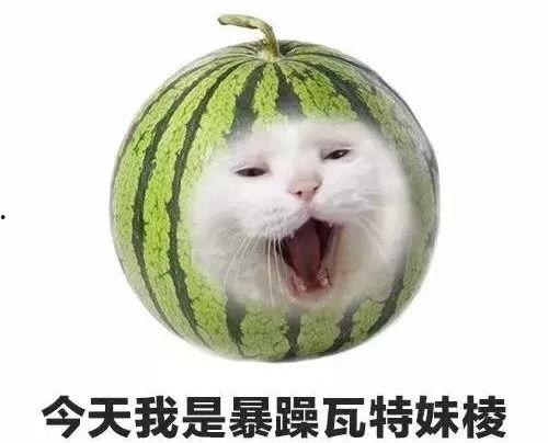 吃瓜 怎么回答,吃瓜群众的视角