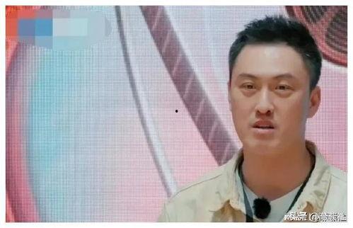 娱乐圈吃瓜吐槽博主,揭秘明星背后的故事与真相