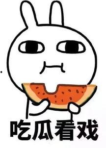 娱乐吃瓜酱一半,吃瓜酱一半，真相大揭秘！